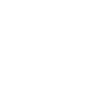 Ski icon